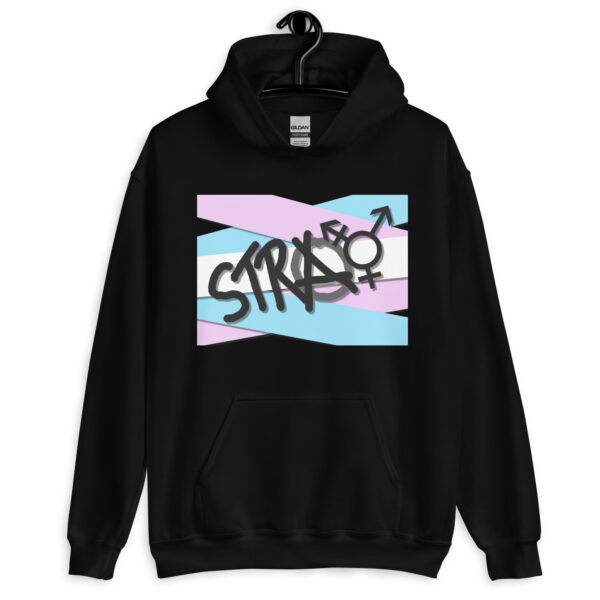 Stray - deconstructed trans flag Unisex Hoodie