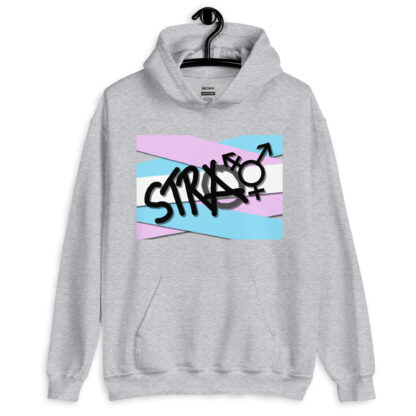 Stray - deconstructed trans flag Unisex Hoodie - Image 4