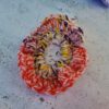 Scrunchie, many colour options - Image 2