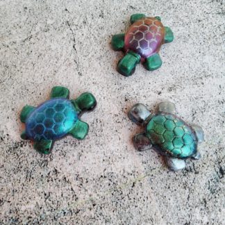 Turtle Fridge magnets