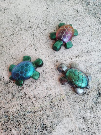 Turtle Fridge magnets